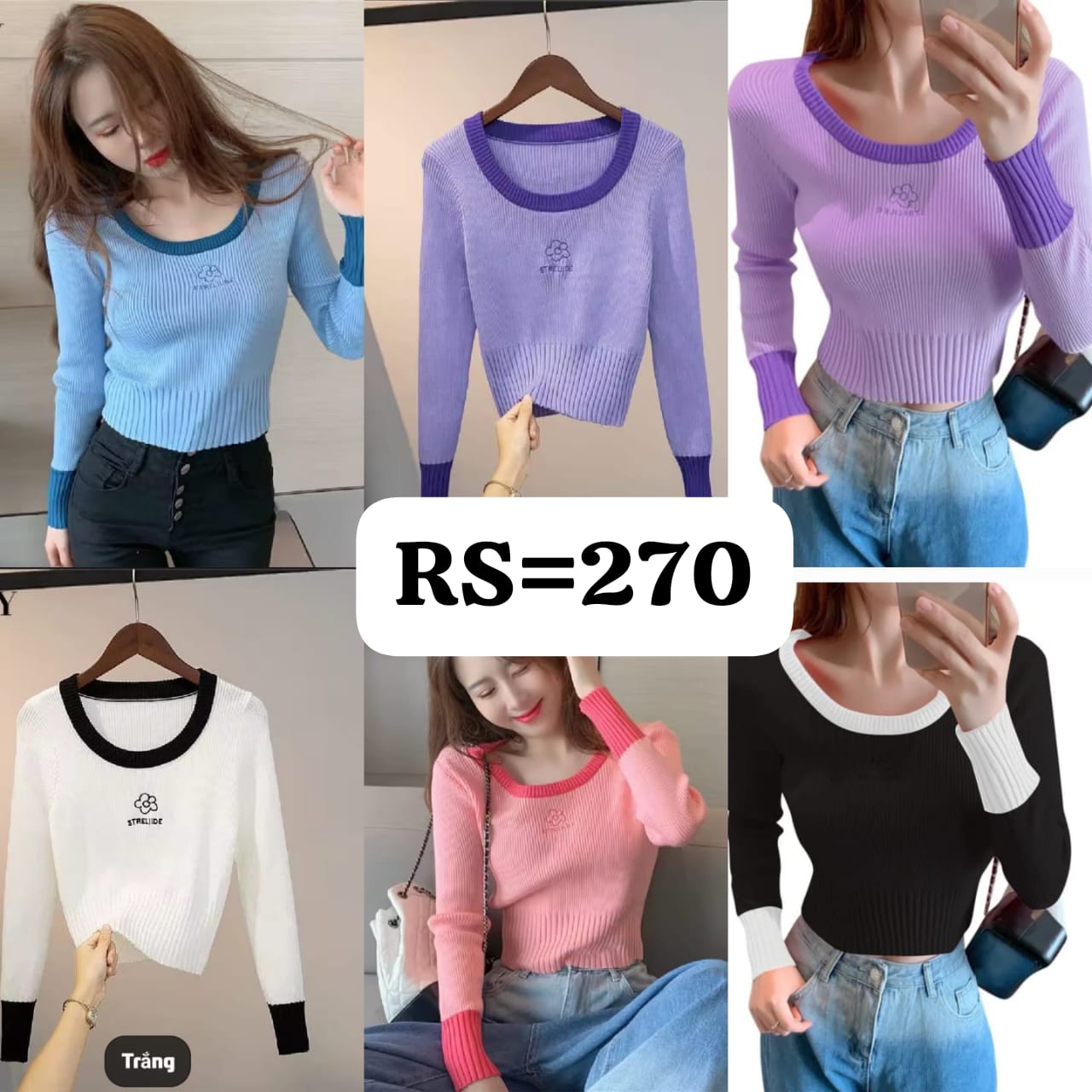 Imported Knitting Fullslevees Crop Top | Wholesale Korean Womens Wear  - ZF-04